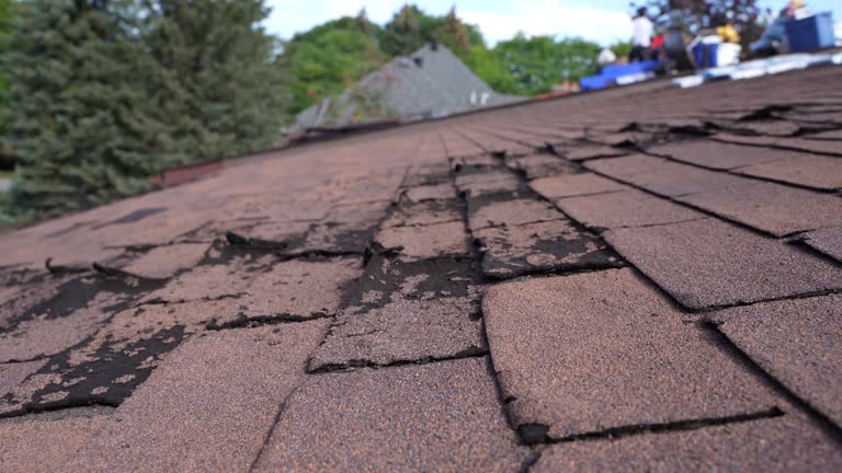 Best Rubber Roofing (EPDM, TPO)  in Huntington, VA